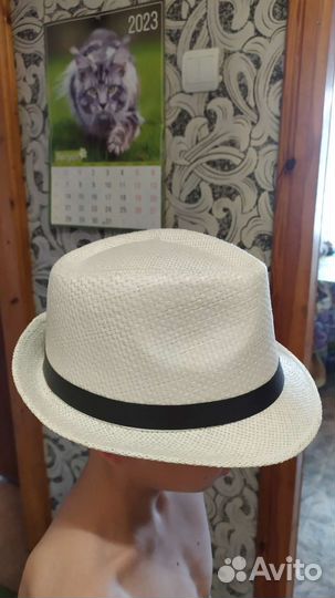 Шляпа мужская летняя