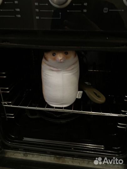 Сирийский хомяк