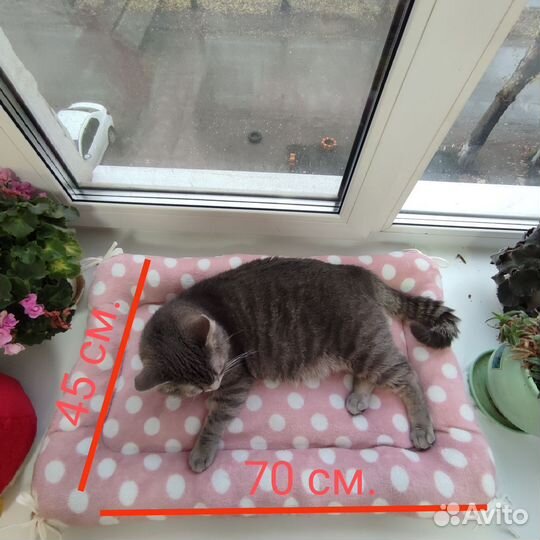 Лежанка для кошек новая