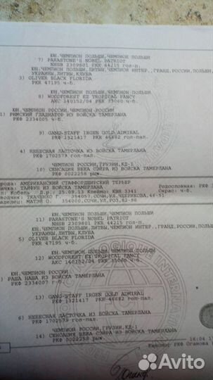 Бесплатная вязка