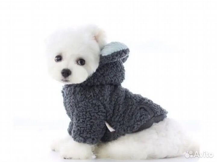 Куртка для собак мелких пород