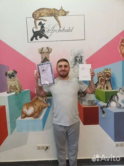 Стрижка собак и кошек