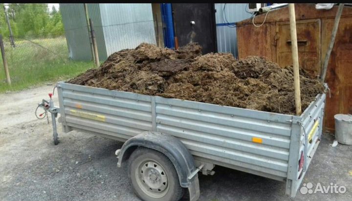 Куриный помет