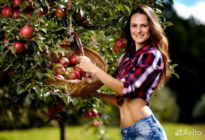 Сборщик на вахту