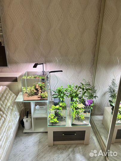 Дизайн и оформление аквариума