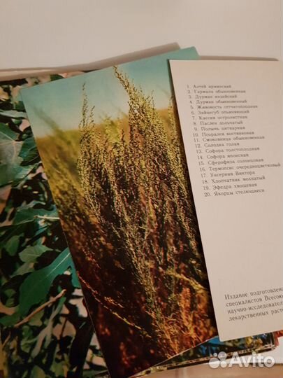 Открытки советские СССР