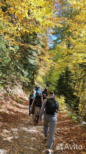 Однодневные гастрономические походы в Сочи