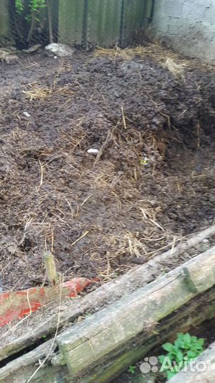 Навоз коровий бесплатно самовывоз