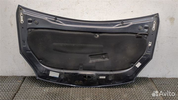 Капот Toyota Prius 2009, 2009