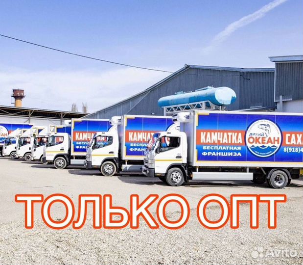 Стейк лосося опт