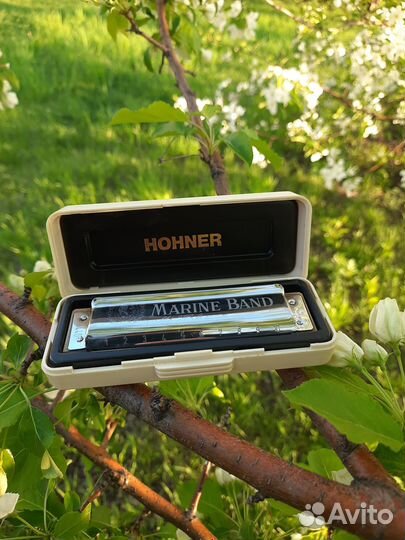 Губная гармошка Hohner