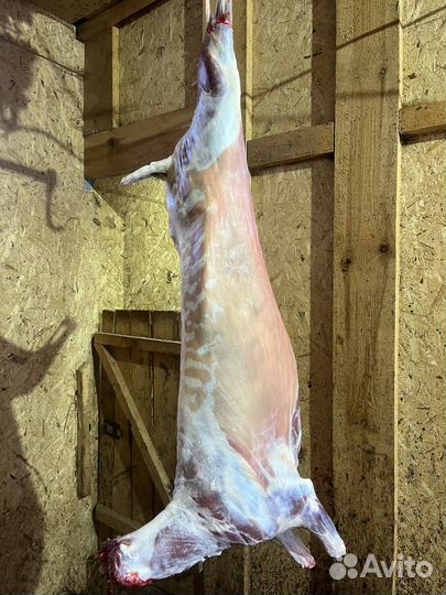 Баранина разные весовые категории