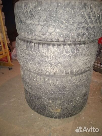 Gislaved Soft Frost 2 205/55 R16