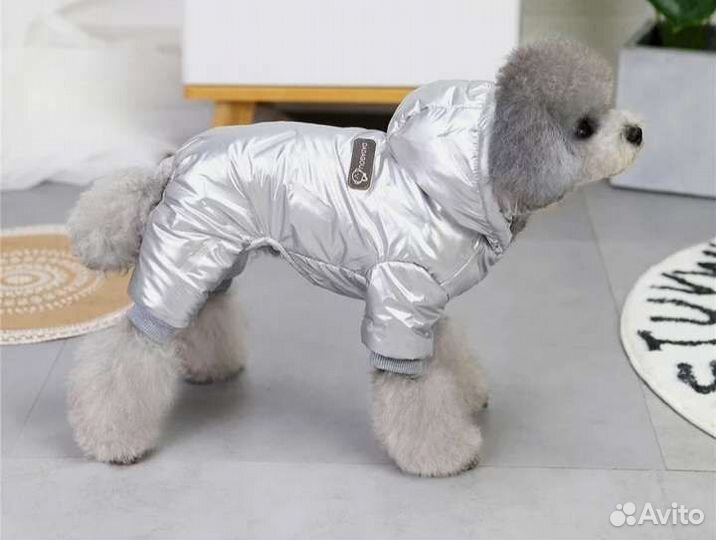 Одежда для собак