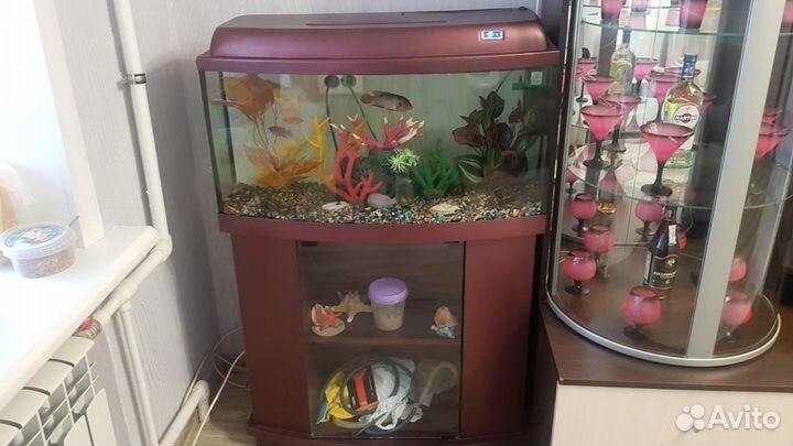Аквариум