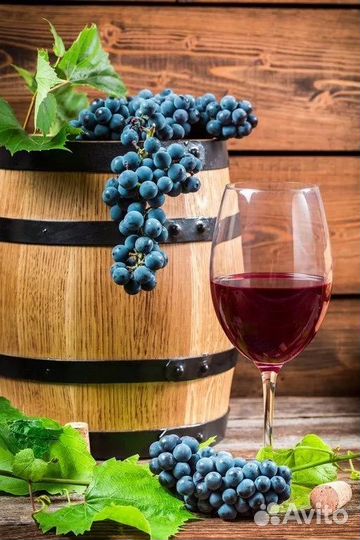 Домашний компот из абхазии