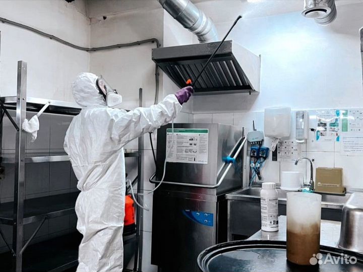 Дезинфекция. Уничтожение клопов, тараканов, блох