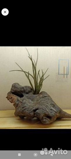 Коряга для декора