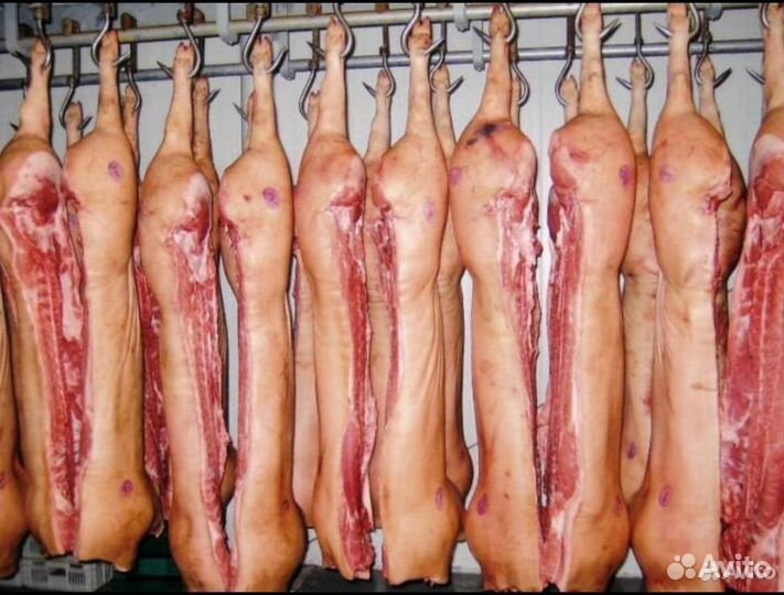 Мясо свинина