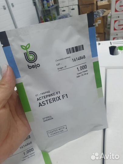 Семена Огурец Астерикс 1000с Бейо