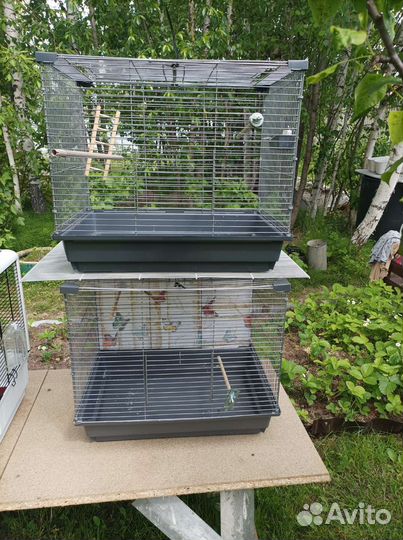 Клетка для птиц бу