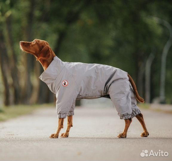 Дождевик комбинезон для собак