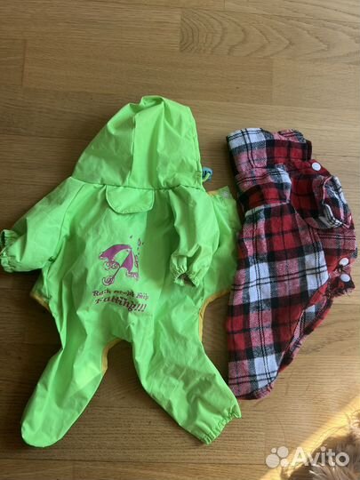 Одежда для собак