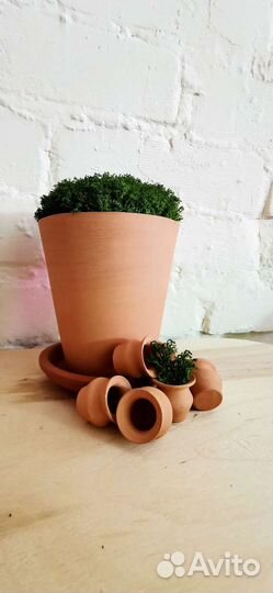 Горшки керамические для цветов