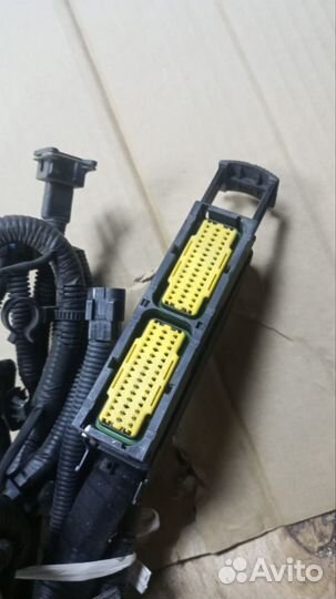 Проводка двигателя(коса) тагаз Вега с 100