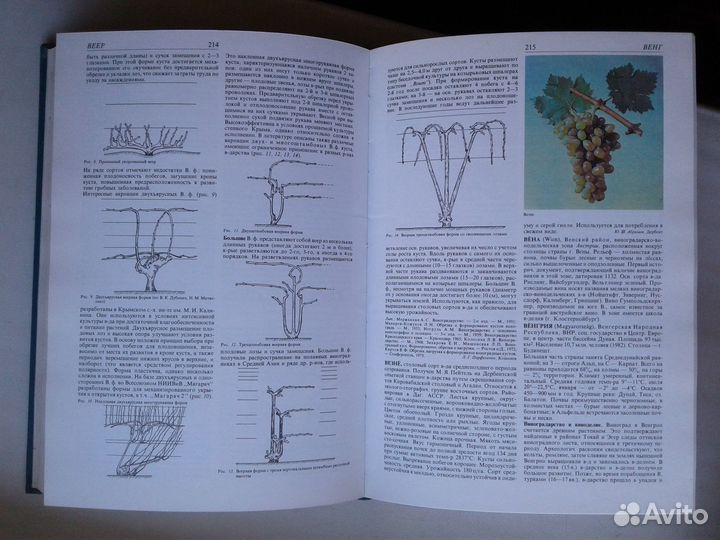 Энциклопедия виноградарства Цена за одну книгу
