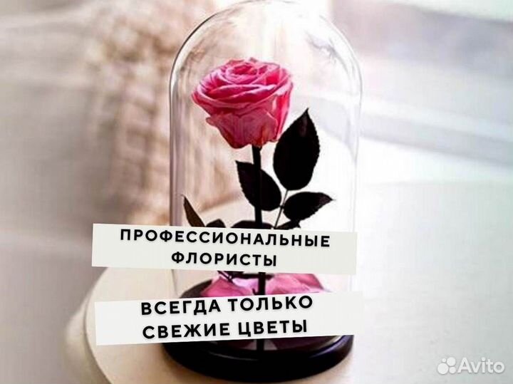 Роза в колбе. Вечная