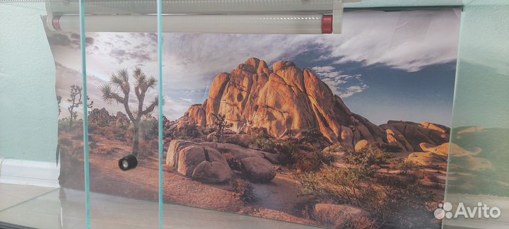 Террариум для рептилий б/у