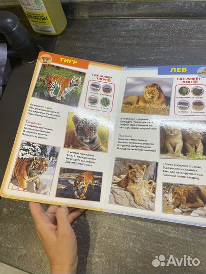 Музыкальные книги для малышей