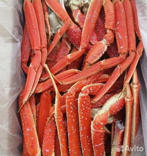 Клешни краба стригуна опилио