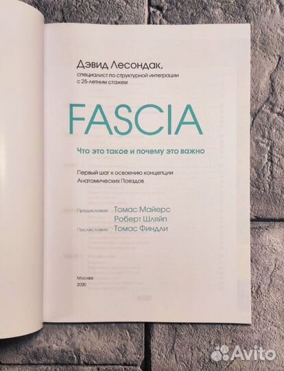 Fascia что это такое и почему это важно