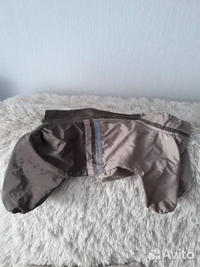 Дождевик для маленькой собаки