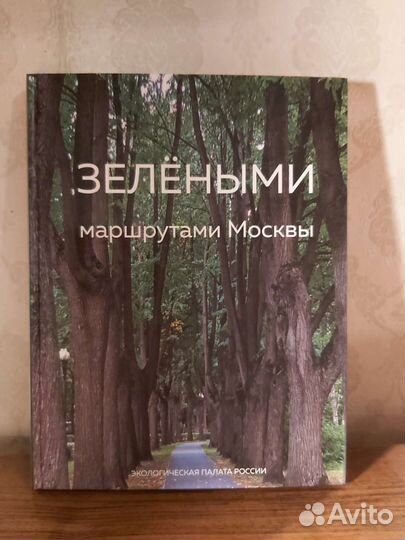 Зелеными маршрутами Москвы