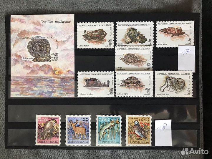 Животные. Почтовые марки