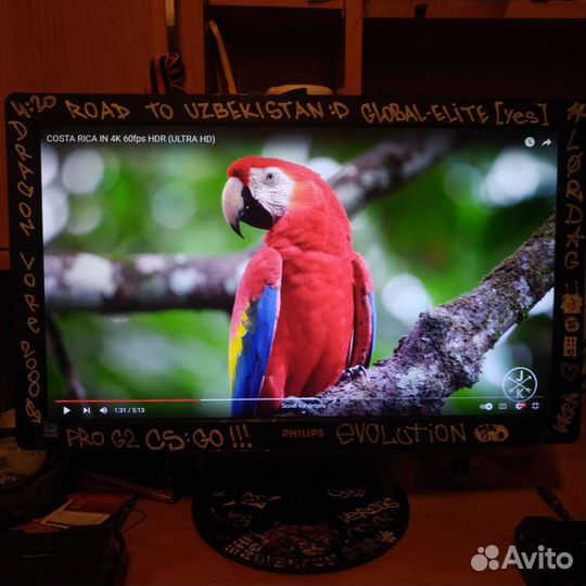 Монитор Philips 206VL 20