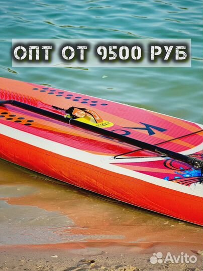 Сапборды Кои