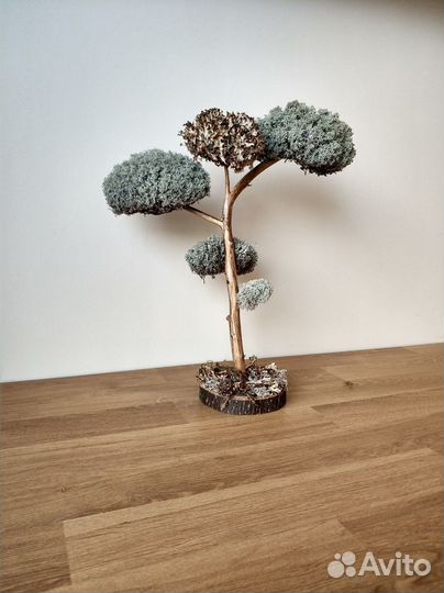 Дерево бонсай декоративное