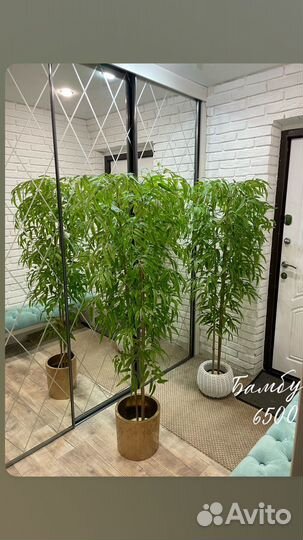 Дерево Бамбук искусственый