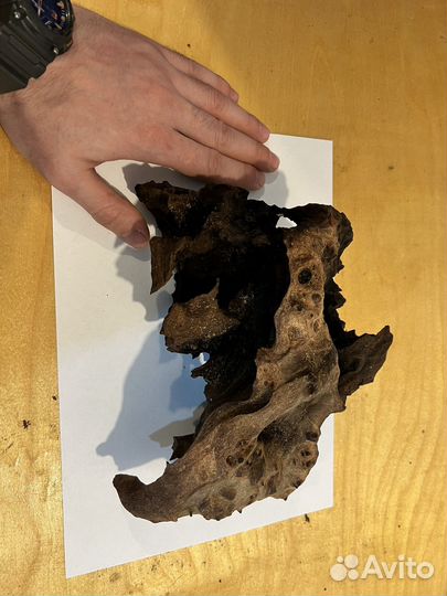 Eheim 2217 eheim classic 600, Eheim, JBL