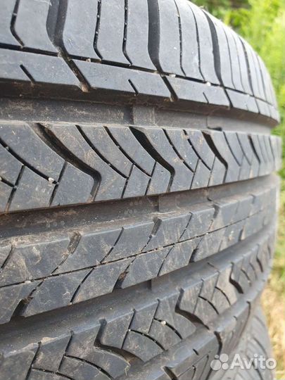 Maxxis Bravo HP-M3 225/55 R19