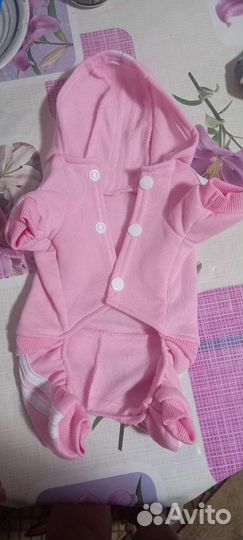 Одежда для маленьких пород собак