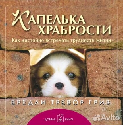 Бредли Тревор Грив 