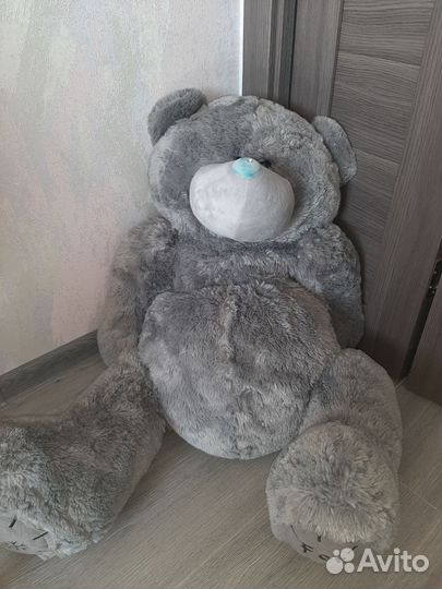 Мишка Тедди