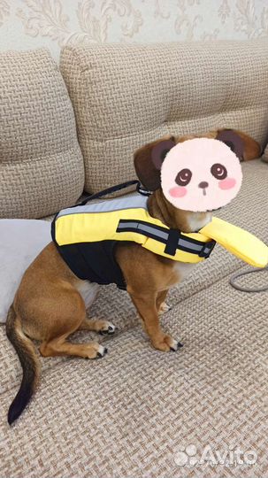 Спасательный жилет для собак