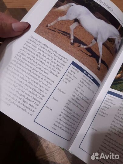 Книга про лошадей, на немецком языке