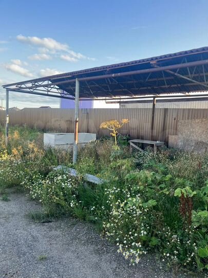 Участок 6 сот. (СНТ, ДНП)